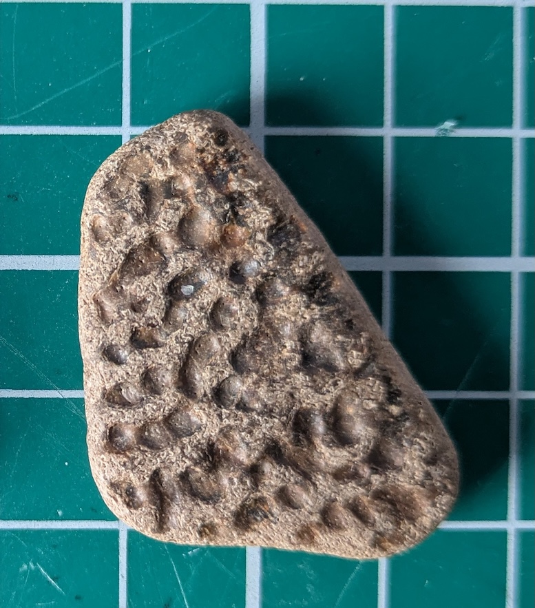 Picture of a rounded triangular shaped fossil on a green cutting mat. The surface has various indentations that look a bit like a golfball but more irregular.